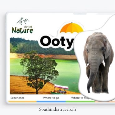 Southindia Tours and Travels providing you Tour Packages in Ooty.